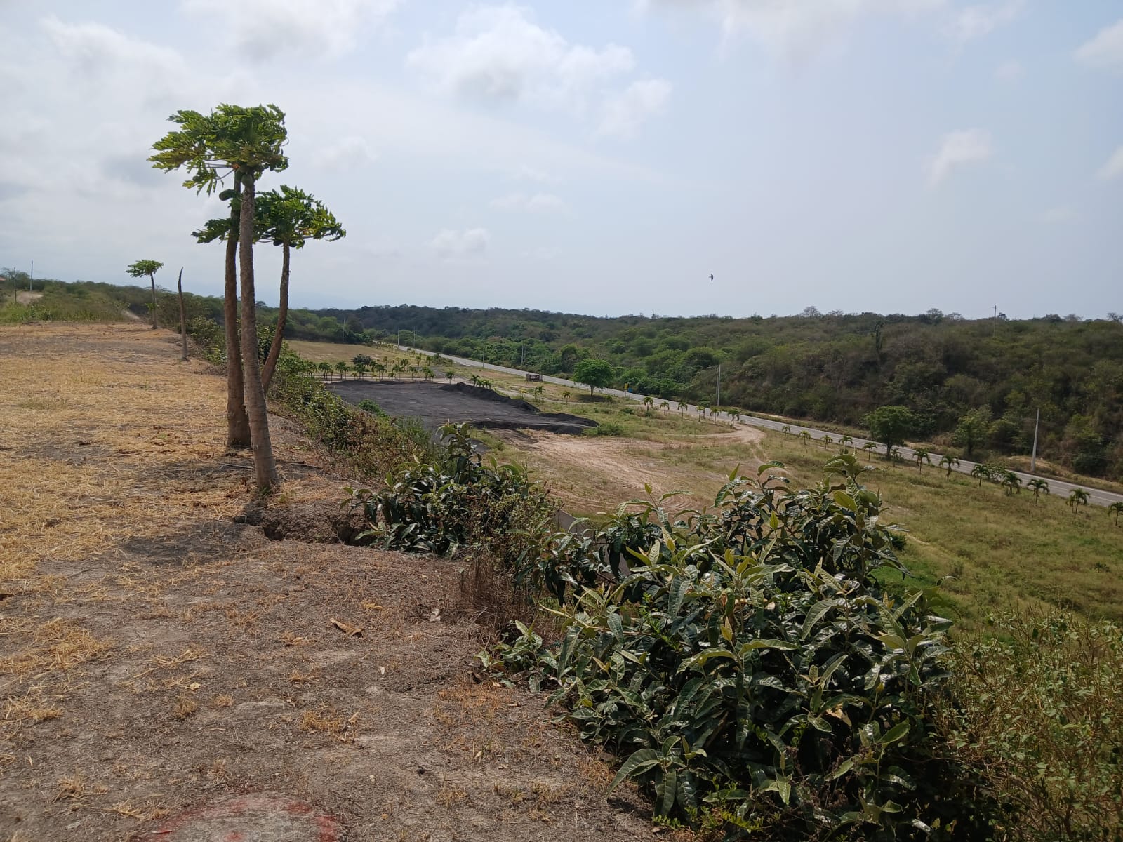 LAS INMOBILIARIAS - Juegan 3 Terrenos Residenciales al Sur de Manta | Actividad #1